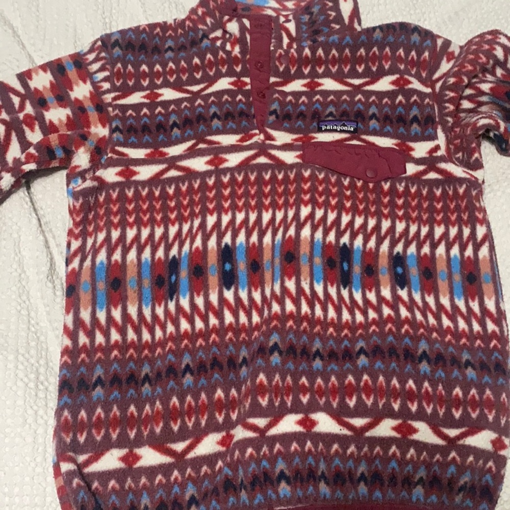 Patagonia Synchilla Fleece